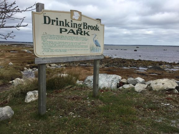 drinking brook park 1.jpg